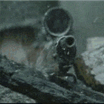 sniper.gif 150x150