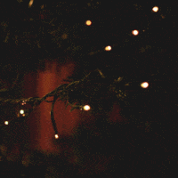 christmas-tree.gif 200x200