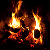 fireplace.gif 200x200