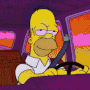 Homer stoned