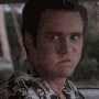 Ace Ventura gif Ace Ventura avatar