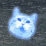 Cat hype! gif Cat hype! avatar