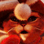 Christmas Cat gif Christmas Cat avatar