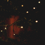 Christmas tree gif Christmas tree avatar