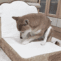Doge mining gif Doge mining avatar