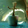 i am groot gif i am groot avatar