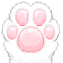 kittycute gif kittycute avatar