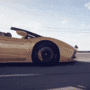 Lambo gif Lambo avatar