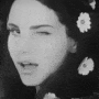 Lana Del Rey gif Lana Del Rey avatar