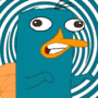Perry gif Perry avatar