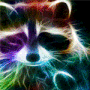 Raccoon gif Raccoon avatar