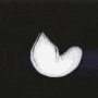 Random and creepy gif Random and creepy avatar