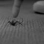 Spider power gif Spider power avatar